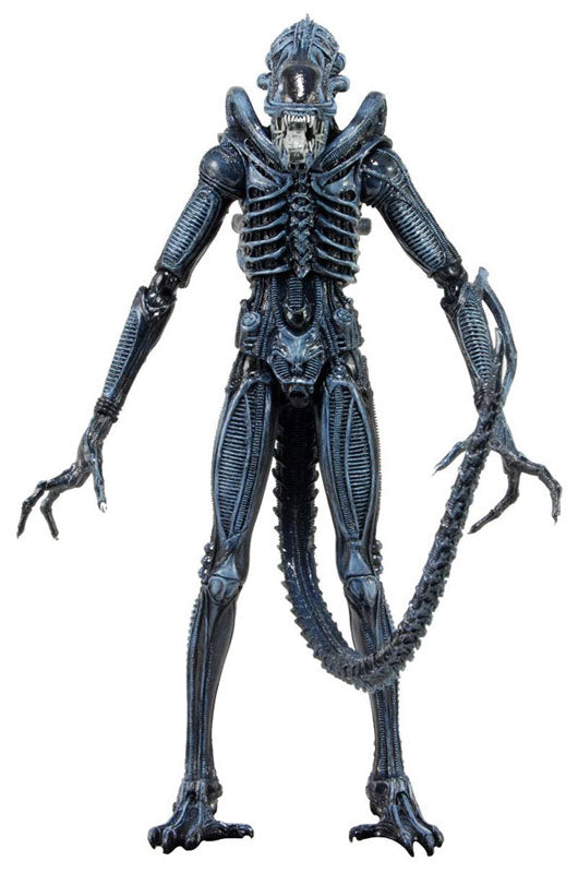 Alien 7 Inch Action Figure Series 2 Set of 2 Types