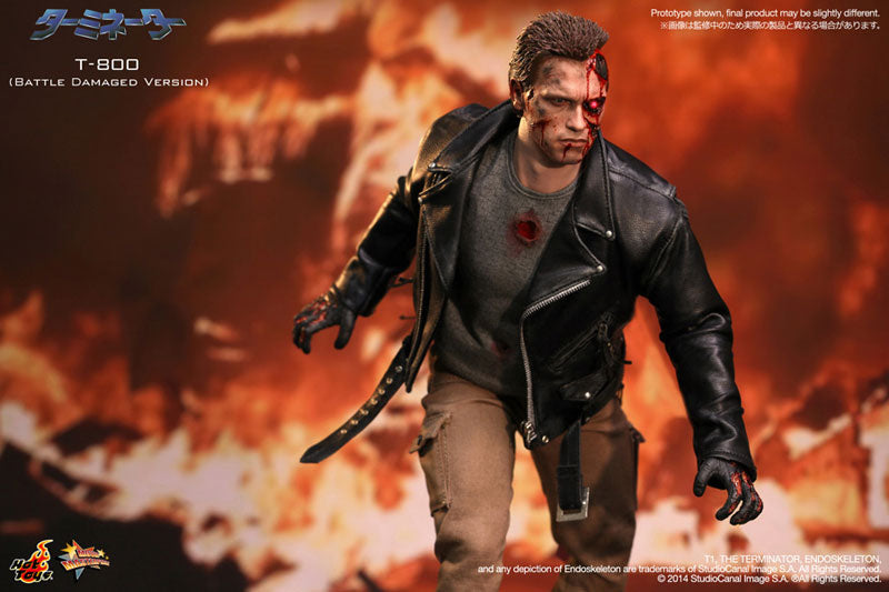 Movie Masterpiece - Terminator 1/6 Scale Figure: Terminator T-800 (Battle  Damaged Version)