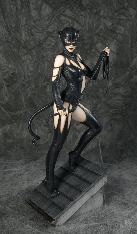 Catwoman(Selina Kyle) - Dc Comics