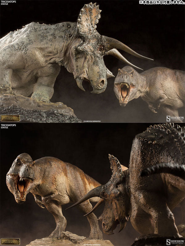 Dinosauria Statue - Triceratops