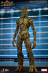 Movie Masterpiece - Guardians of the Galaxy 1/6 Scale Figure: Groot　