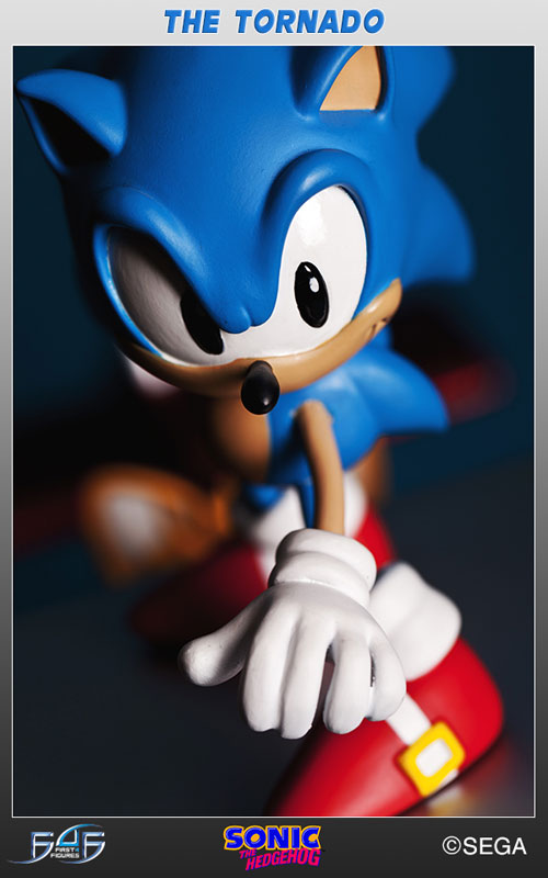 Sonic the Hedgehog - Sonic The Hedgehog