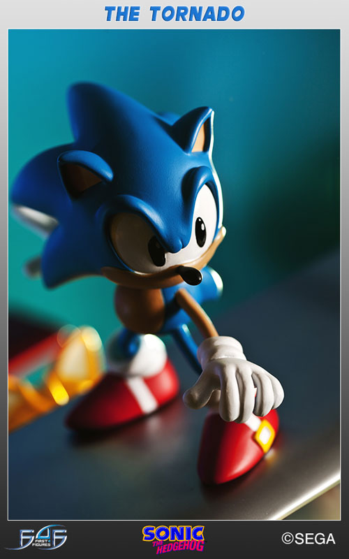 Sonic the Hedgehog - Sonic The Hedgehog