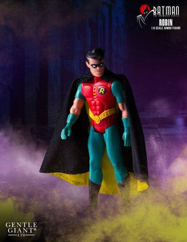 Retro Kenner 12inch Action Figure - Batman: The Animated Series Robin