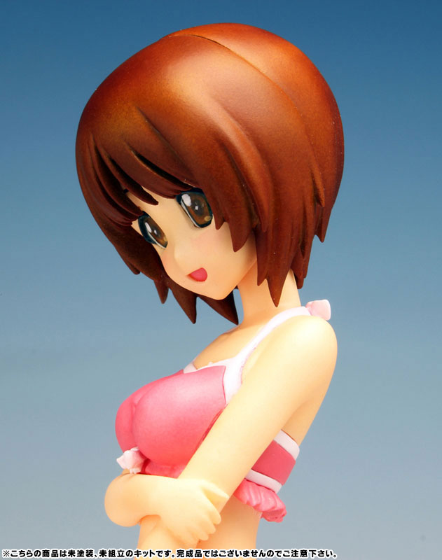 Nishizumi Miho - Girls und Panzer