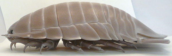 Nature Techni Bathynomus giganteus Figure