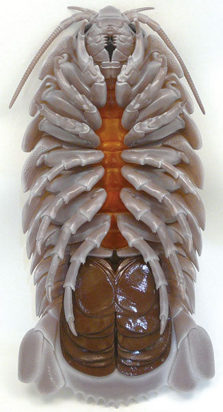 Nature Techni Bathynomus giganteus Figure