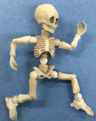 Pose Skeleton - Human 02 (Re-Ment)