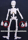 Pose Skeleton - Human 03 (Re-Ment)