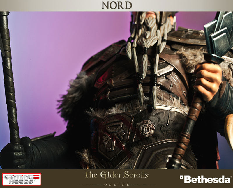 Nord - The Elder Scrolls