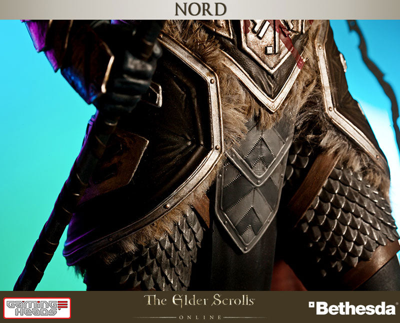 Nord - The Elder Scrolls