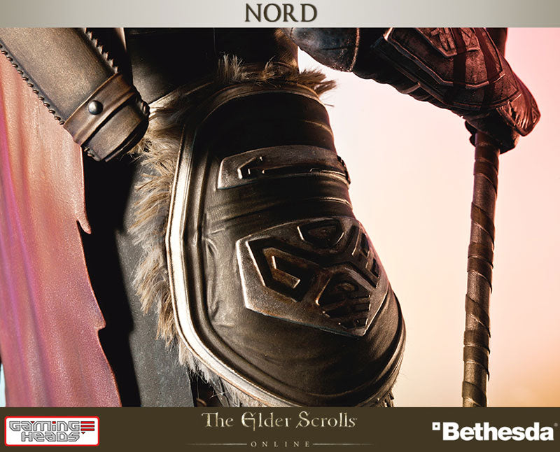 Nord - The Elder Scrolls