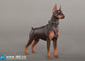 1/6 Animal Series Doberman Pinscher Red