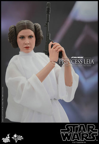 Movie Masterpiece "Star Wars Episode IV: A New Hope" 1/6 Princess Leia　
