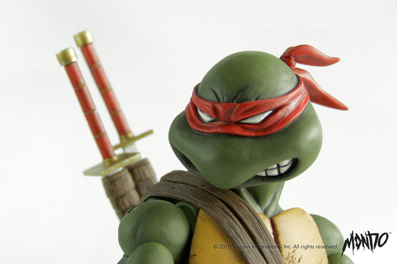 Leonardo - Teenage Mutant Ninja Turtles