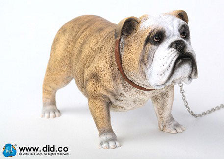 1/6 Animal series "British Bulldog"　