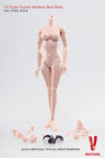 1/6 Scale Female Doll Body Middle Bust Ver.3.0 (FX02-D)　
