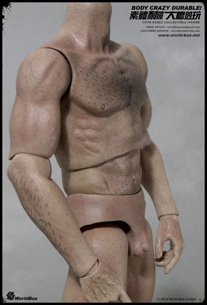 1/6 Male Body 2.0 Body Hair Paint　