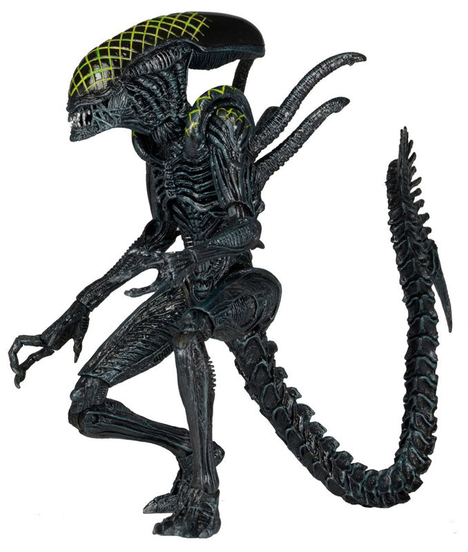 Alien - 7 Inch Action Figure Series 7: 2Type Set - Solaris Japan
