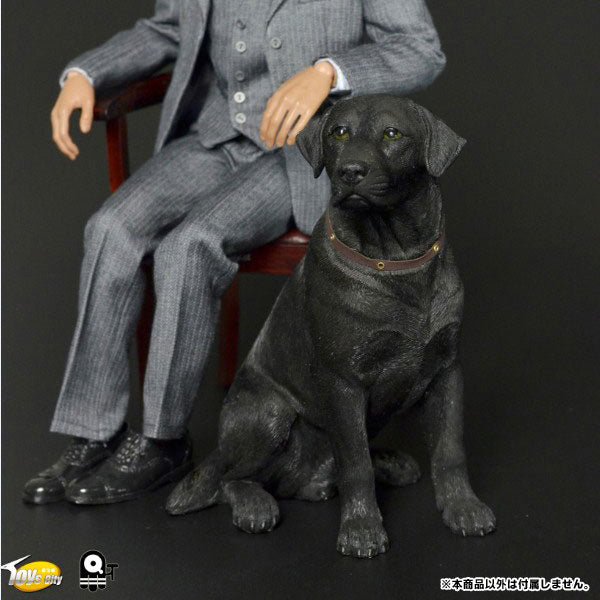 1/6 Scale Labrador Retriever (TC-M9004A)　