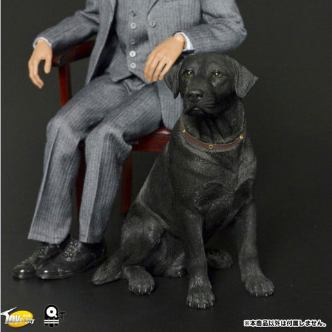 1/6 Scale Labrador Retriever (TC-M9004A)　