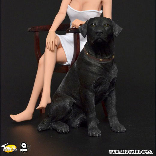 1/6 Scale Labrador Retriever (TC-M9004A)　