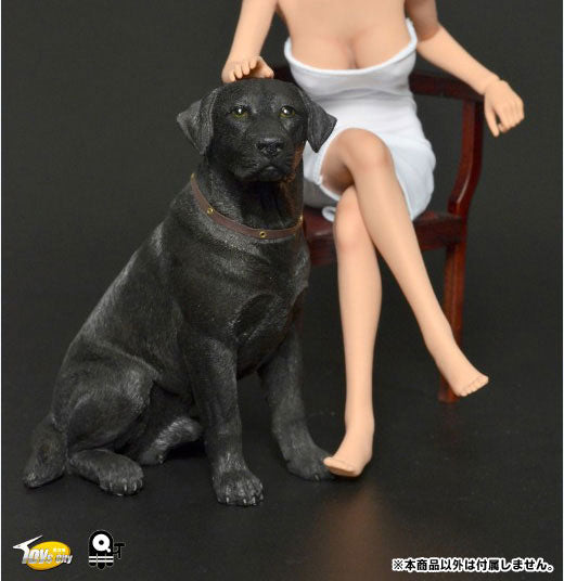 1/6 Scale Labrador Retriever (TC-M9004A)　