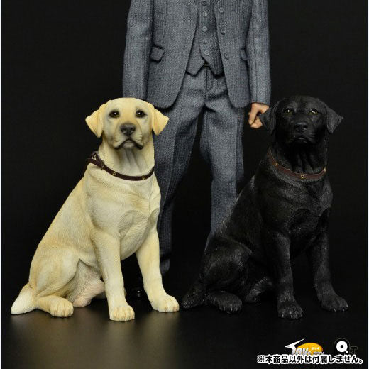 1/6 Scale Labrador Retriever (TC-M9004B) - Solaris Japan