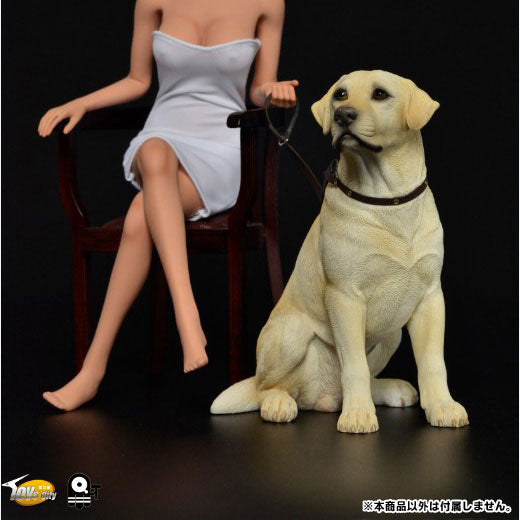 1/6 Scale Labrador Retriever (TC-M9004B)　