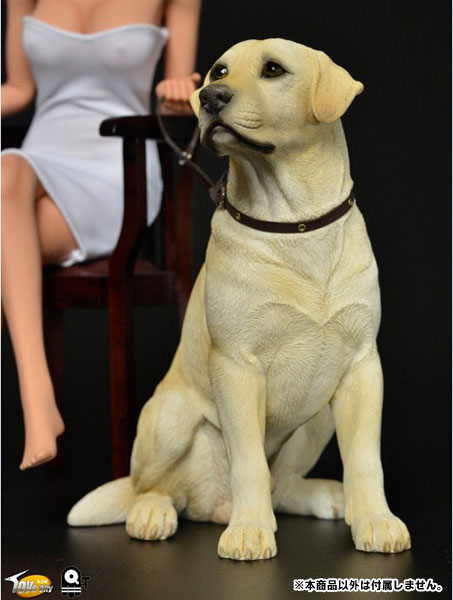 1/6 Scale Labrador Retriever (TC-M9004B)　