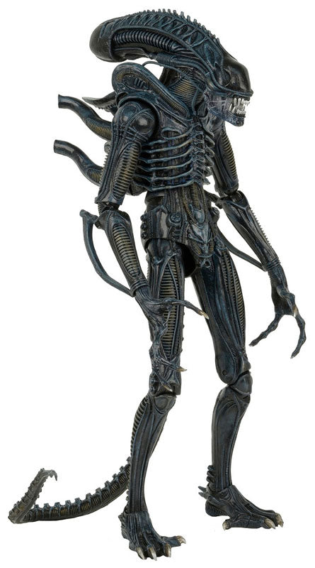 Aliens - Alien Warrior 1/4 Action Figure - Solaris Japan