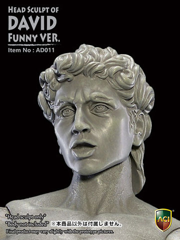 1/6 Head Sculpt of David Funny Ver.　