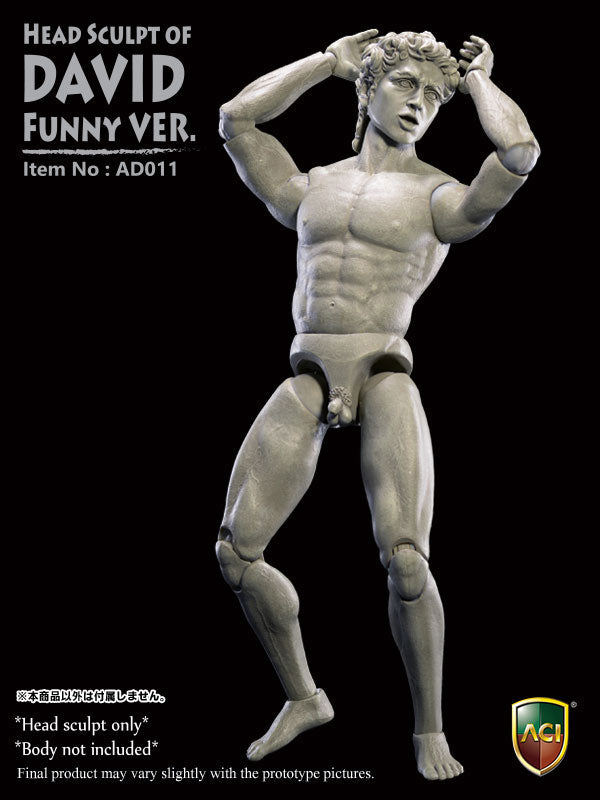 1/6 Head Sculpt of David Funny Ver.　