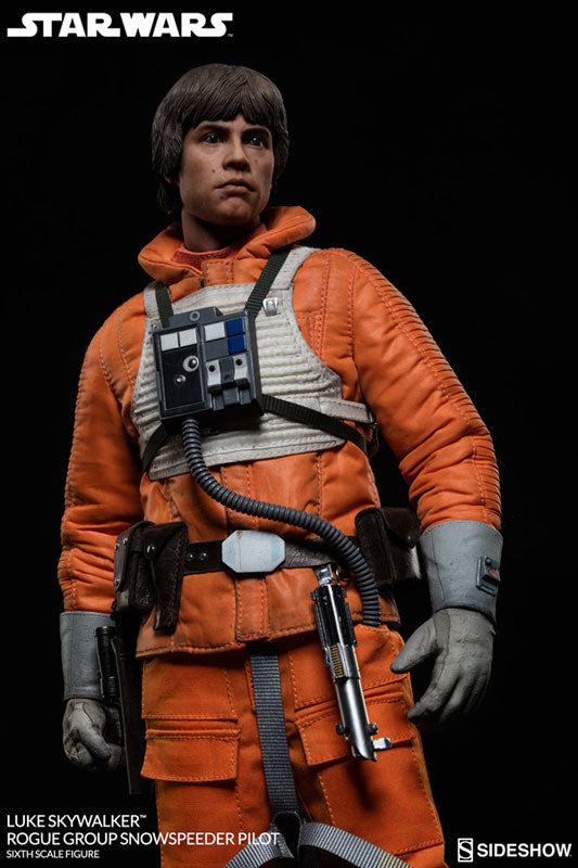Star Wars 1/6 Heroes of Rebellion - Luke Skywalker (Snowspeeder Pilot Ver.)　
