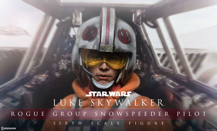 Star Wars 1/6 Heroes of Rebellion - Luke Skywalker (Snowspeeder Pilot Ver.)　