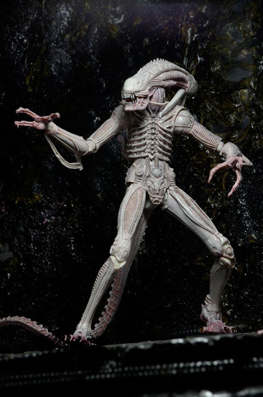 Alien - 7 Inch Action Figure Series 9: 3Type Set