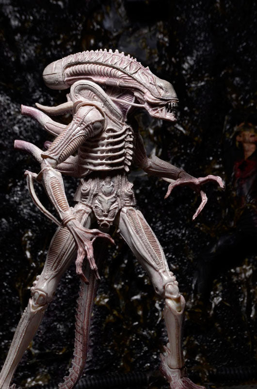 Alien - 7 Inch Action Figure Series 9: 3Type Set