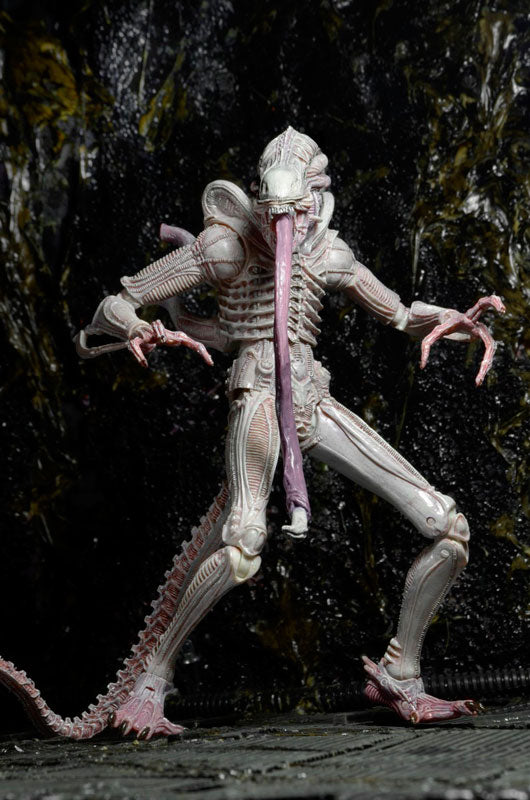 Alien - 7 Inch Action Figure Series 9: 3Type Set - Solaris Japan