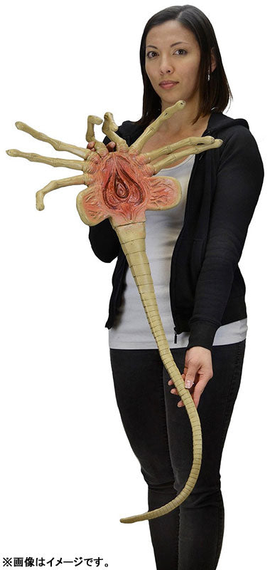 Alien - Facehugger 1/1 Form Prop Replica