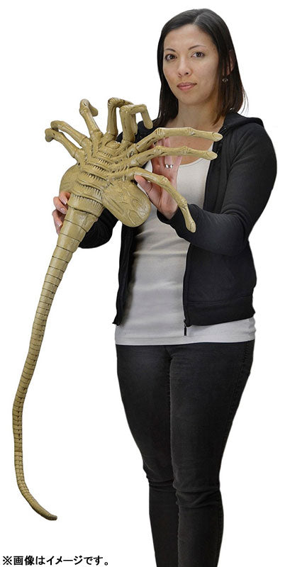 Alien - Facehugger 1/1 Form Prop Replica