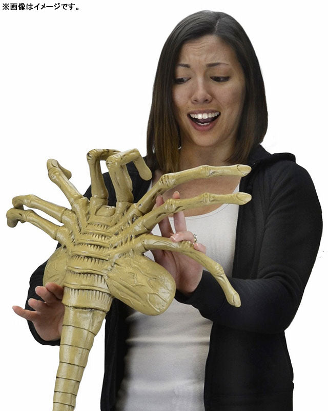 Alien - Facehugger 1/1 Form Prop Replica