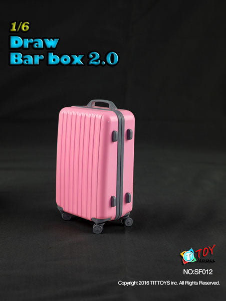 1/6 Suitcase 2.0 Pink　