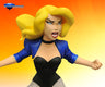 "Justice League Animated" PVC Statue DC Gallery - Black Canary