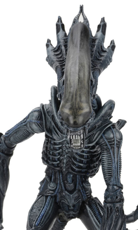 Alien - 7 Inch Action Figure Series 10: 2Type Set