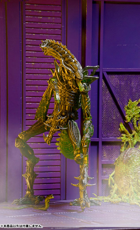 エイリアンフィギュア 10体 Amazon.co.jp: Ben 10 (ベン10) エイリアン Alien Force 4