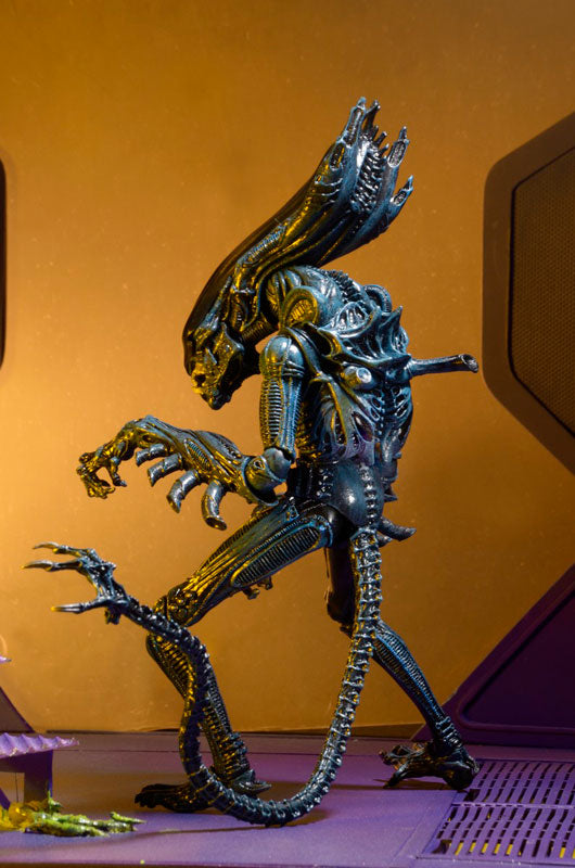 Alien - 7 Inch Action Figure Series 10: 2Type Set