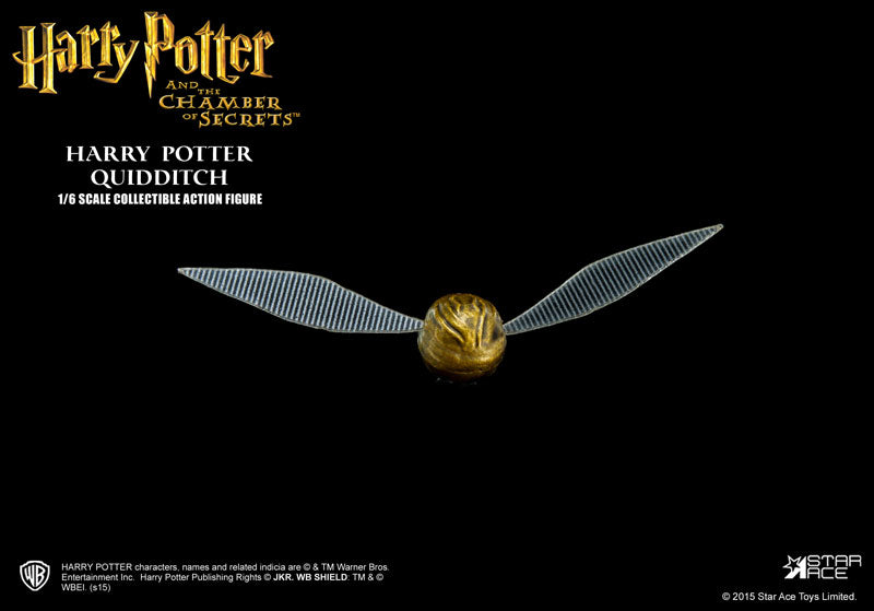 My Favorite Movie Series 1/6 Harry Potter Quidditch ver.　