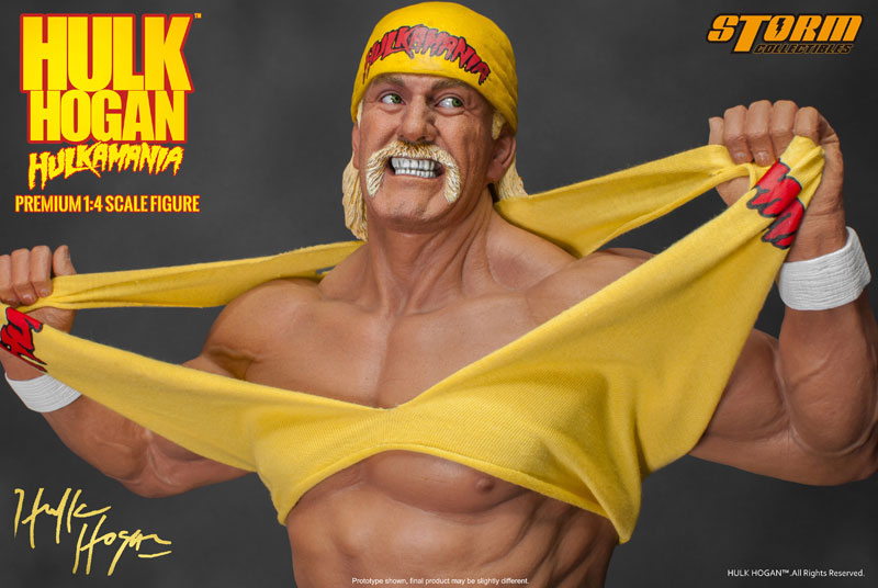 Hulk Hogan - Person: Overseas