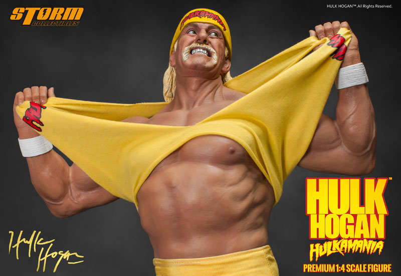 Hulk Hogan - Person: Overseas