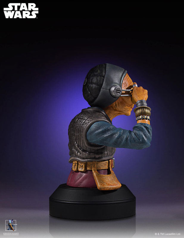 Star Wars: The Force Awakens - Mini Bust: Maz Kanata